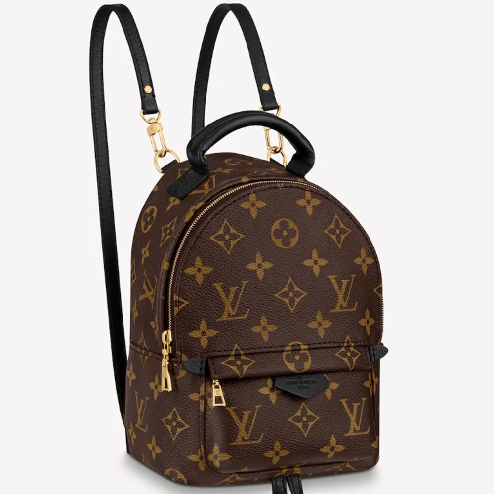Louis Vuitton Palm Springs mini